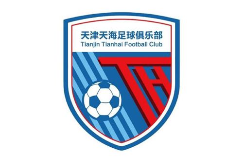 欧美少妇视频